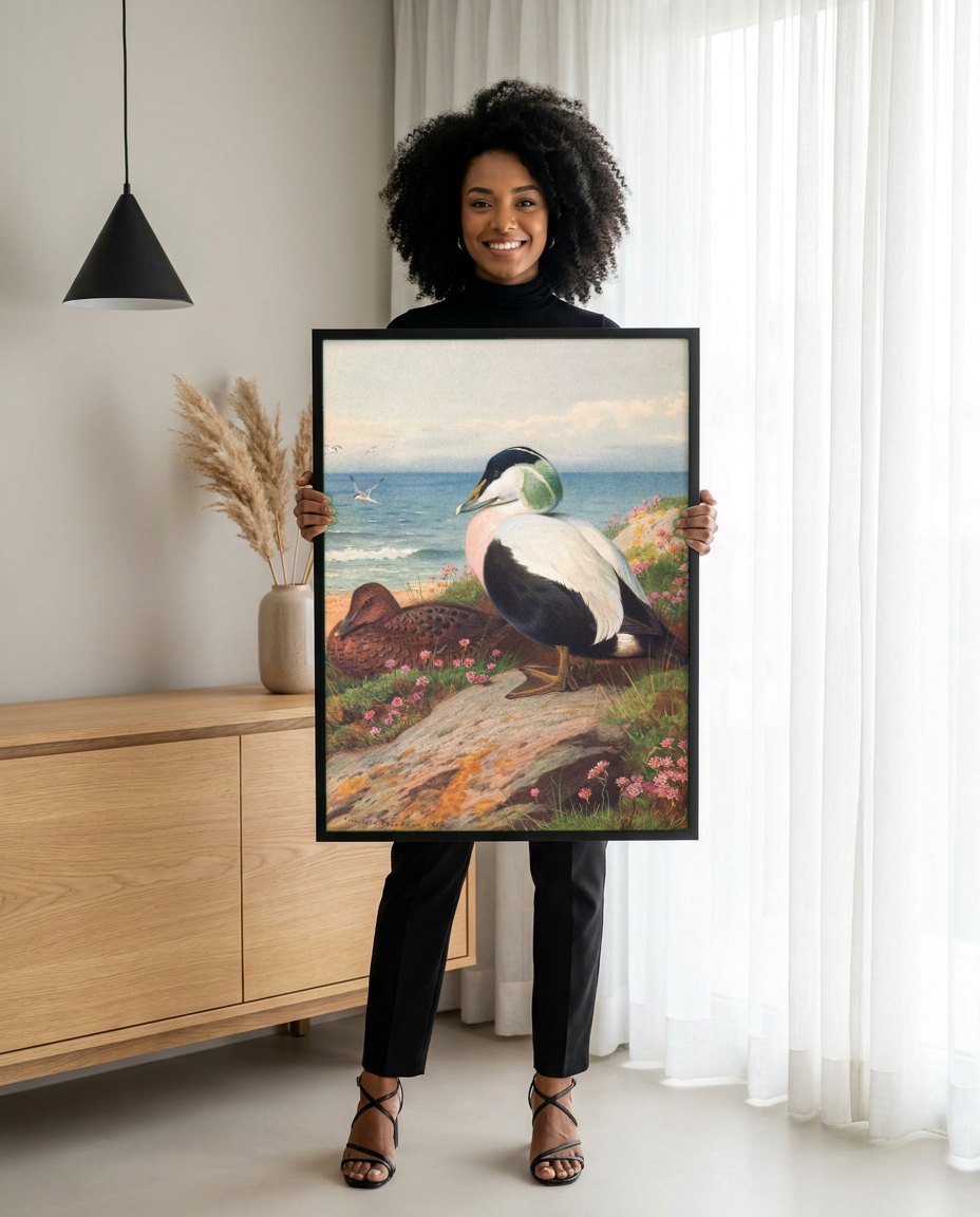 Quadro Decorativo Aves Marinhas na Costa - Thorburn | modelo apresentando o quadro emoldurado