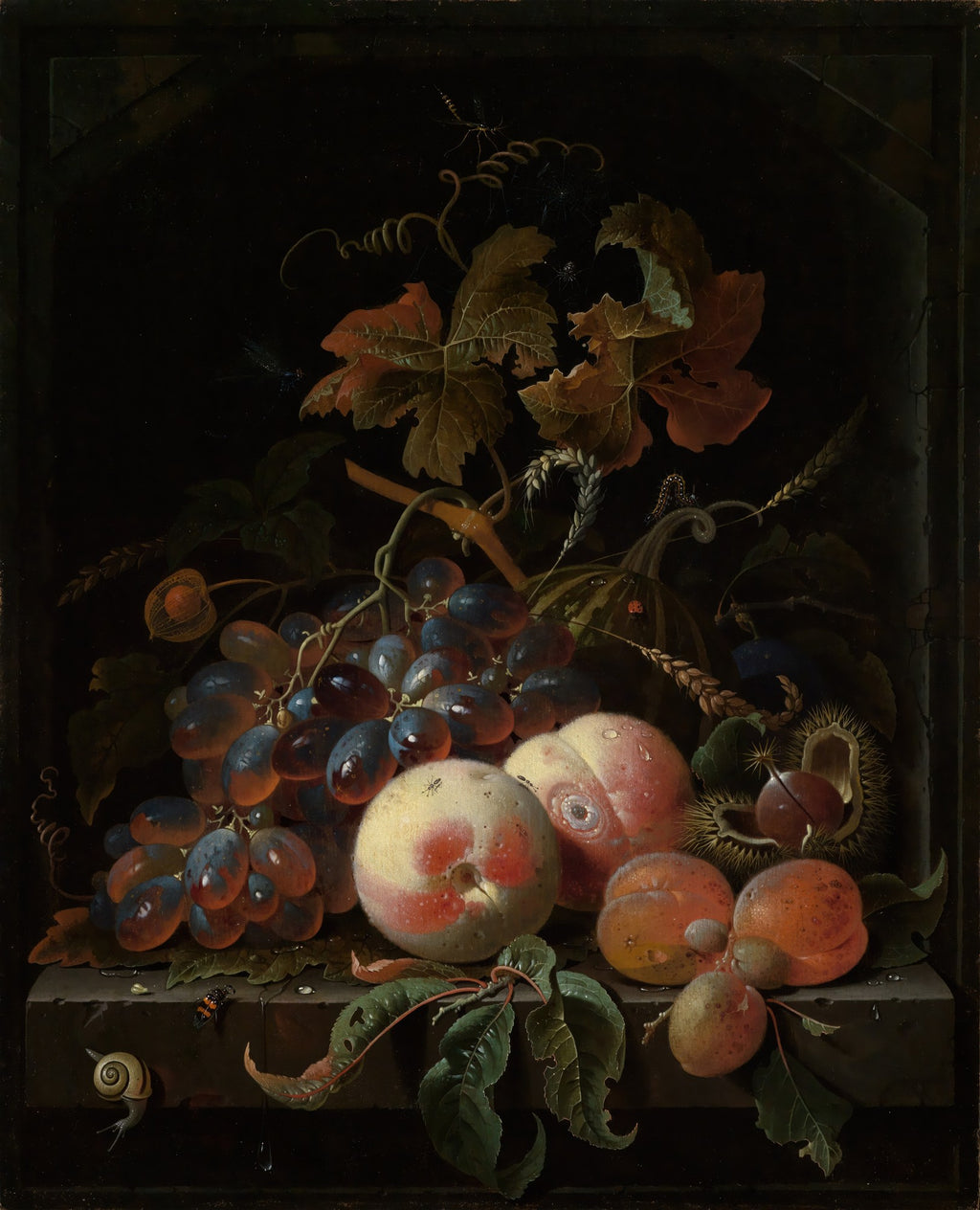 Quadro decorativo de natureza-morta do artista Abraham Mignon, apresentando um arranjo de uvas, pêssegos, damascos e folhas em um fundo escuro, com detalhes de insetos e um caracol.