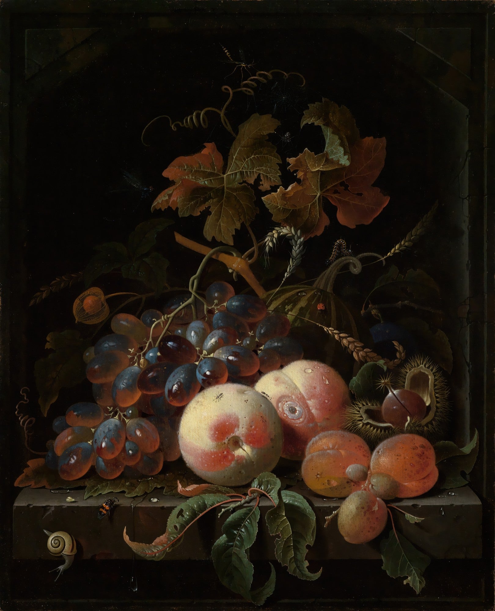 Quadro decorativo de natureza-morta do artista Abraham Mignon, apresentando um arranjo de uvas, pêssegos, damascos e folhas em um fundo escuro, com detalhes de insetos e um caracol.