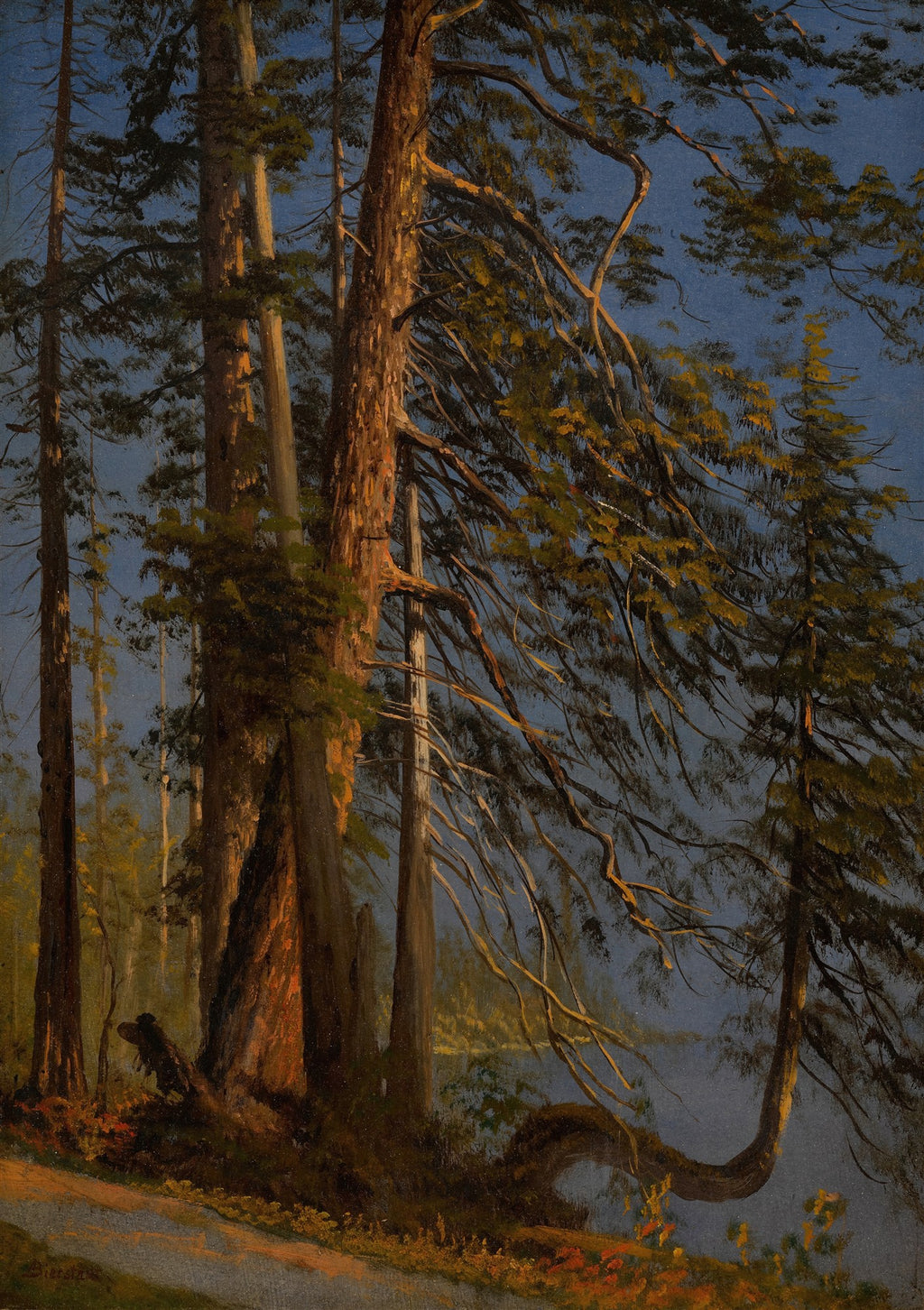 Pintura a óleo de Albert Bierstadt mostrando uma densa floresta com árvores altas e um lago azul ao fundo, sob um céu crepuscular. Luz dourada incide sobre os troncos.