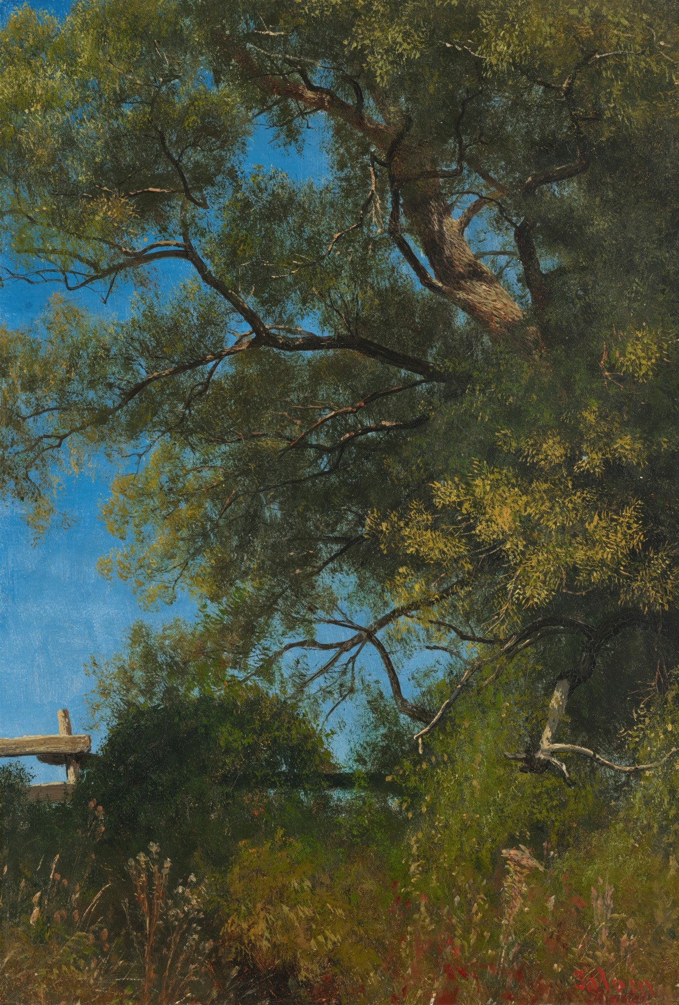 Pintura a óleo de Albert Bierstadt mostrando um campo arborizado com céu azul vibrante entre as folhas verdes e galhos de uma grande árvore, com folhagens em primeiro plano e uma cerca de madeira à esquerda.