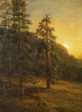 Quadro decorativo com paisagem de floresta ao pôr do sol, com pinheiros altos e luz dourada no horizonte, em estilo de Albert Bierstadt.