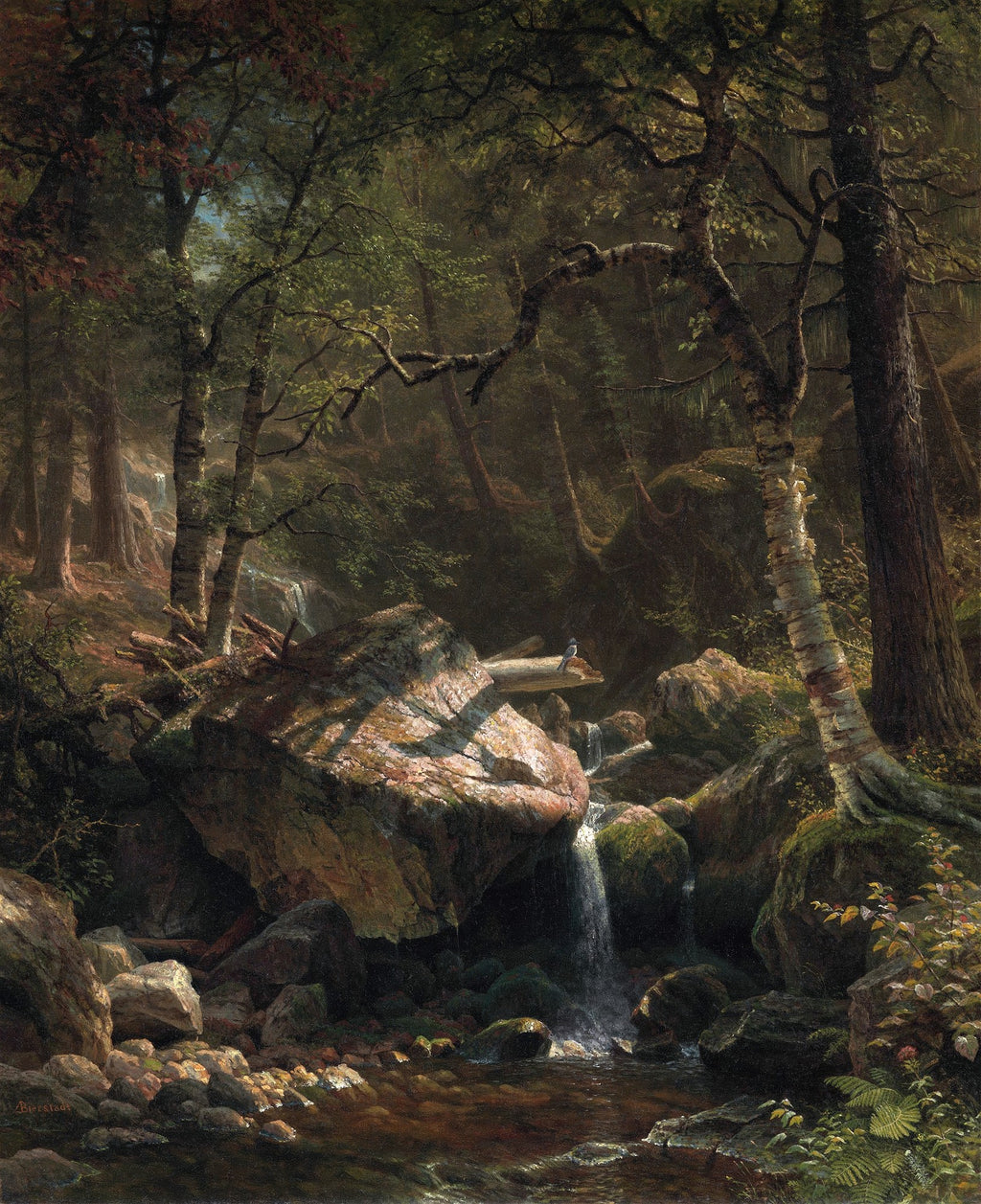 Pintura a óleo de Albert Bierstadt, mostrando uma floresta densa com grandes rochas musgosas e uma pequena cachoeira, com raios de sol iluminando pontos específicos da cena. Uma pequena ave azul repousa em um tronco sobre a água.