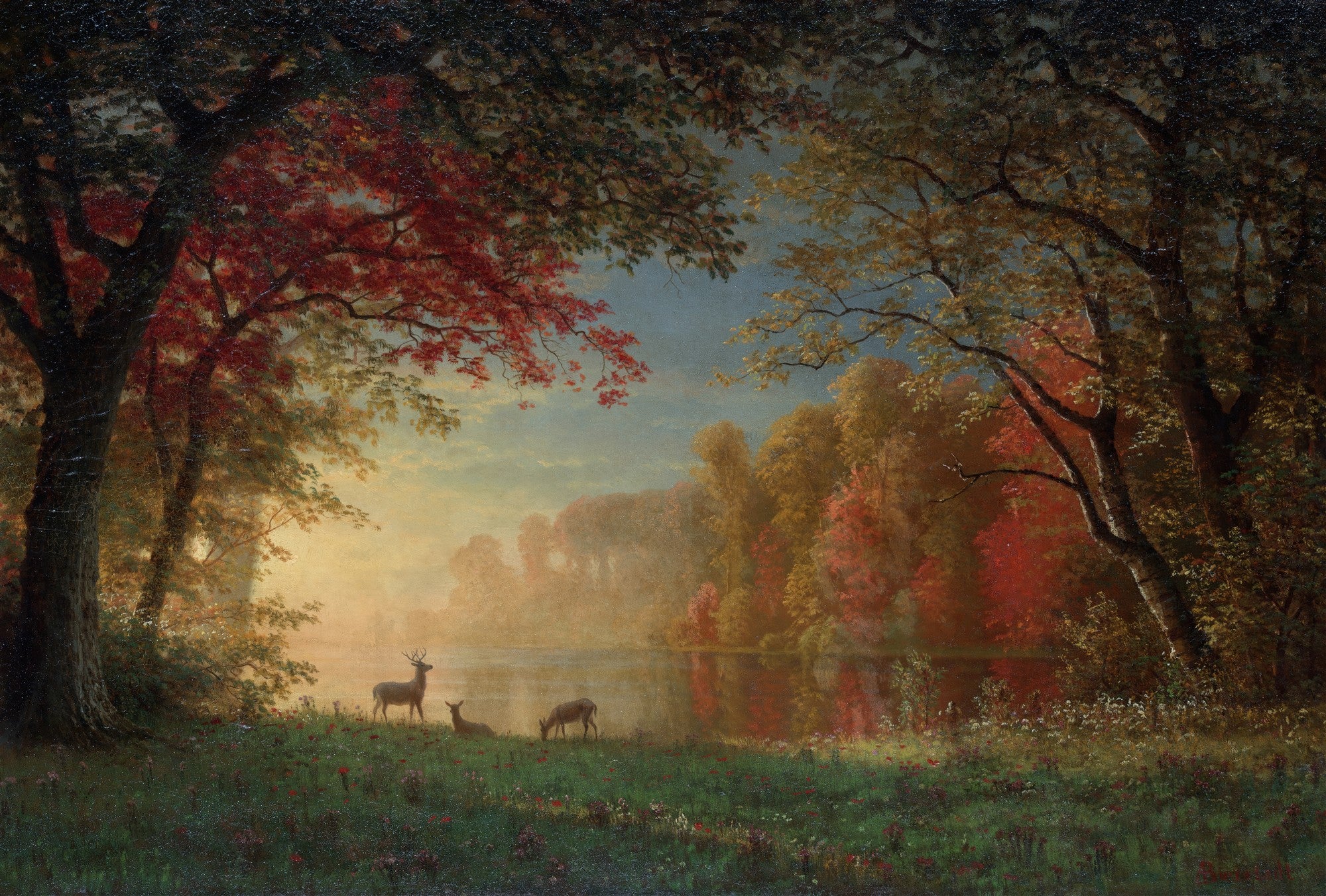 Quadro decorativo paisagem outonal com cervos à beira de um lago, atribuído a Albert Bierstadt. A cena mostra árvores com folhagens em tons de vermelho, laranja e verde, sob um céu dourado e azul, com a luz do sol refletindo na água e na neblina.