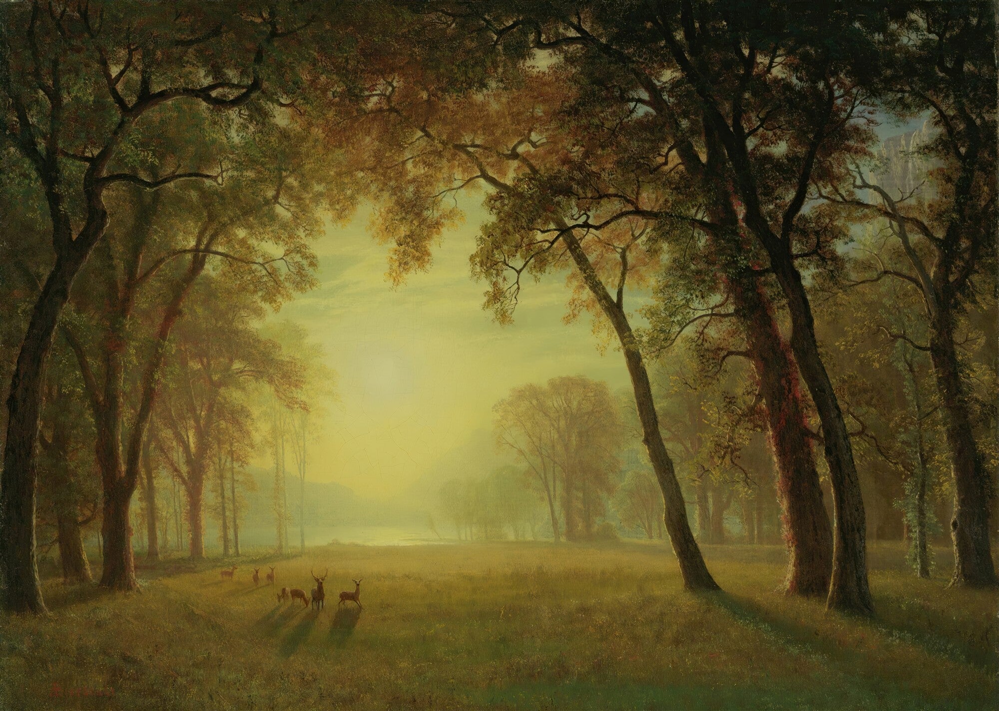 Quadro decorativo com paisagem de floresta iluminada por luz dourada do sol, com cervos em primeiro plano e árvores altas, atribuído a Albert Bierstadt.