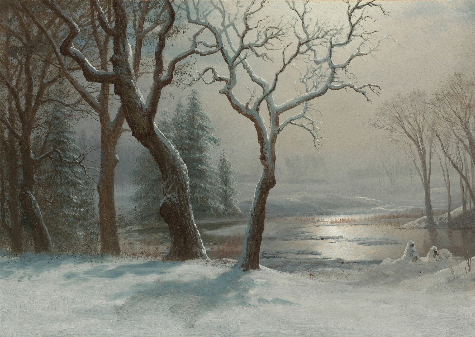 Pintura a óleo de Albert Bierstadt representando uma paisagem de inverno com árvores cobertas de neve e um rio parcialmente congelado refletindo a luz do sol em um dia enevoado. As árvores em primeiro plano estão desfolhadas, e o chão está coberto por uma camada de neve branca e azulada.