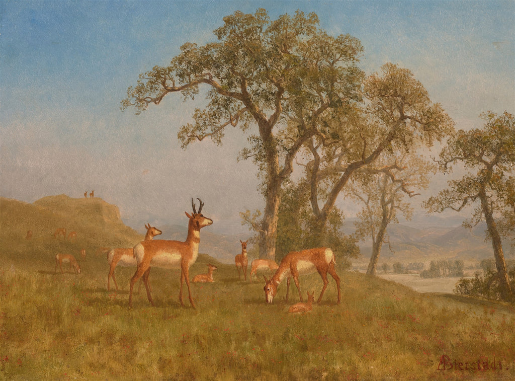 Uma pintura a óleo de Albert Bierstadt retratando antílopes em uma paisagem verdejante sob árvores frondosas e céu azul.