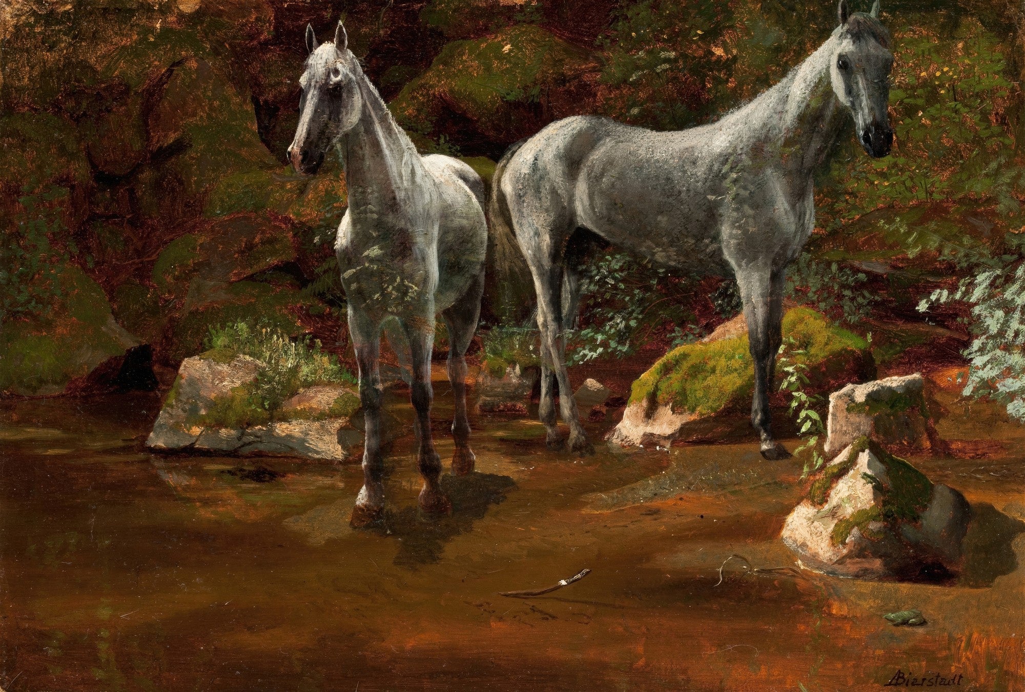 Quadro decorativo com dois cavalos cinzentos em um riacho sombrio, cercados por vegetação densa e rochas musgosas, pintado por Albert Bierstadt. A luz incide suavemente sobre os animais e a água.