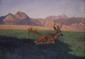 Pintura de Albert Bierstadt mostrando dois cervos em um campo verde, com montanhas roxas e um céu azul claro ao fundo. Um cervo está deitado no primeiro plano e outro está pastando mais ao fundo.
