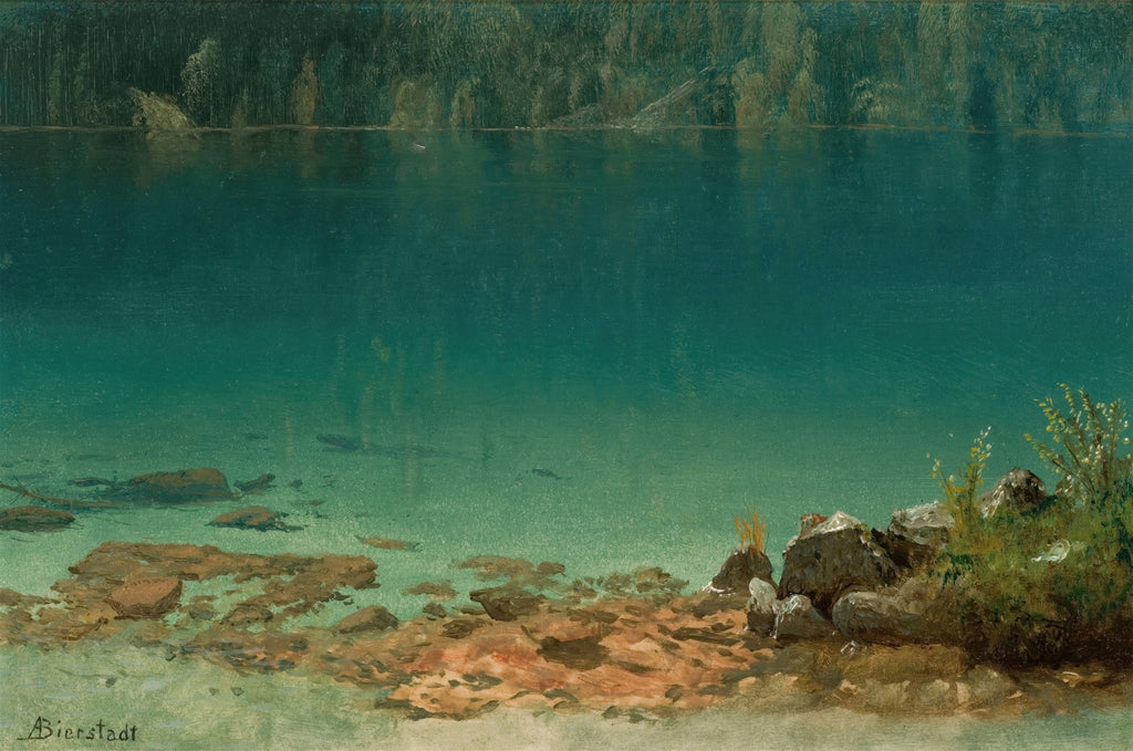 Quadro decorativo mostrando um lago de montanha com água azul-turquesa transparente, revelando rochas no fundo. A margem direita tem vegetação e rochas. No fundo, uma floresta densa.