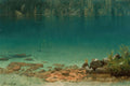 Quadro decorativo mostrando um lago de montanha com água azul-turquesa transparente, revelando rochas no fundo. A margem direita tem vegetação e rochas. No fundo, uma floresta densa.
