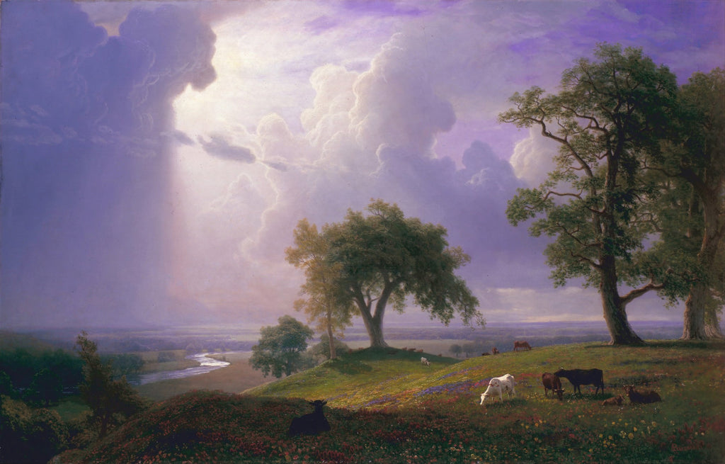 Pintura a óleo de Albert Bierstadt, representando uma paisagem dramática com céu tempestuoso, nuvens claras, um raio de sol, árvores verdes em primeiro plano, e gado pastando em uma colina com flores coloridas, um rio sinuoso ao fundo.