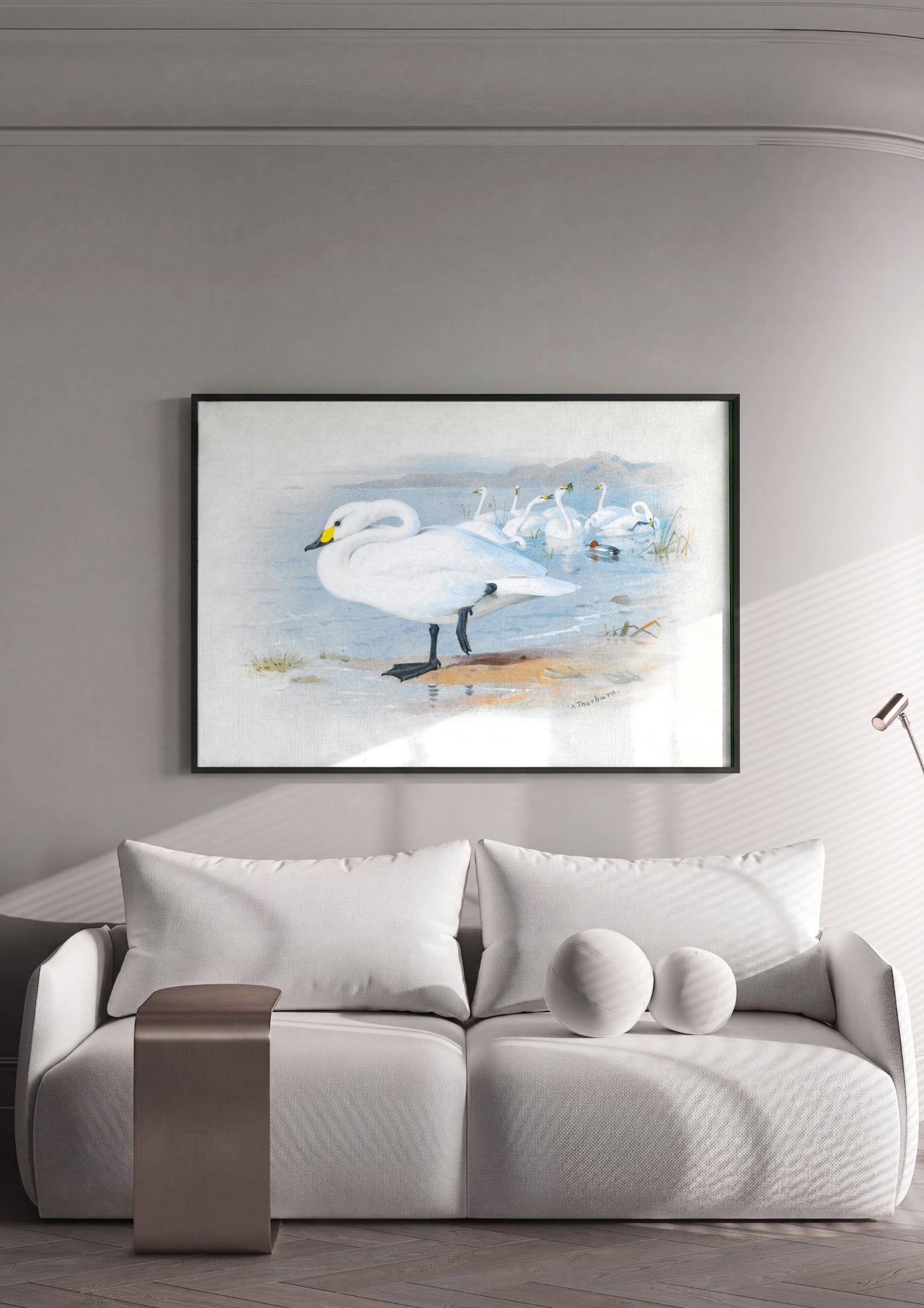Quadro Decorativo Cisnes Reais - Archibald Thorburn em ambiente decorado