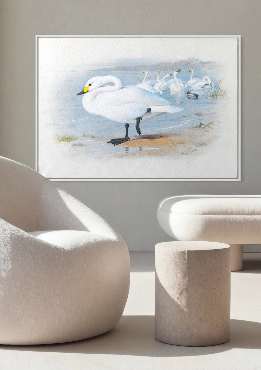 Quadro Decorativo Cisnes Reais - Archibald Thorburn em ambiente decorado
