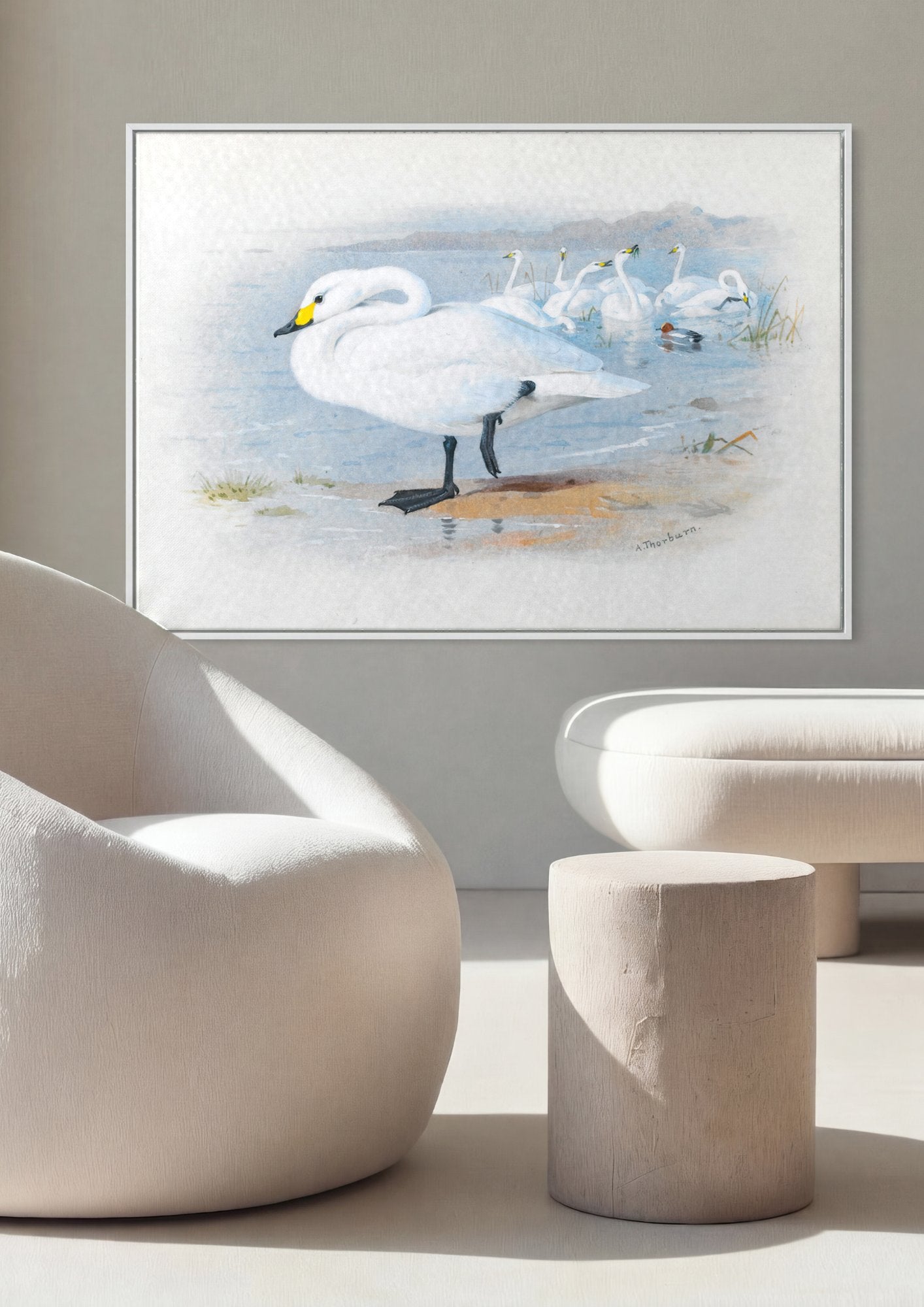 Quadro Decorativo Cisnes Reais - Archibald Thorburn em ambiente decorado