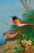 Quadro decorativo com dois pássaros em galhos, um macho com peito laranja e cinza, e uma fêmea marrom, em paisagem primaveril, obra de Archibald Thorburn.