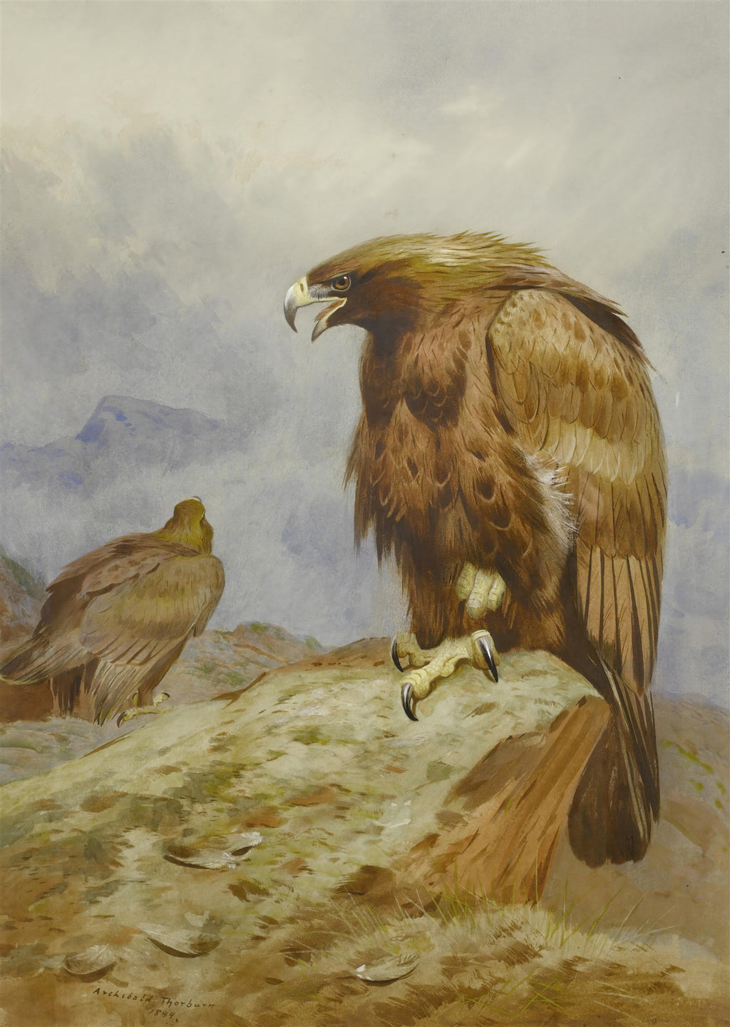 Quadro decorativo mostrando duas águias-reais em um cenário montanhoso. A águia maior está em primeiro plano, sobre uma rocha, olhando para a direita com o bico semiaberto. A segunda águia está ao fundo, de costas, em um terreno montanhoso. O céu é nublado e cinzento. Assinatura do artista Archibald Thorburn e data 1899 no canto inferior esquerdo.