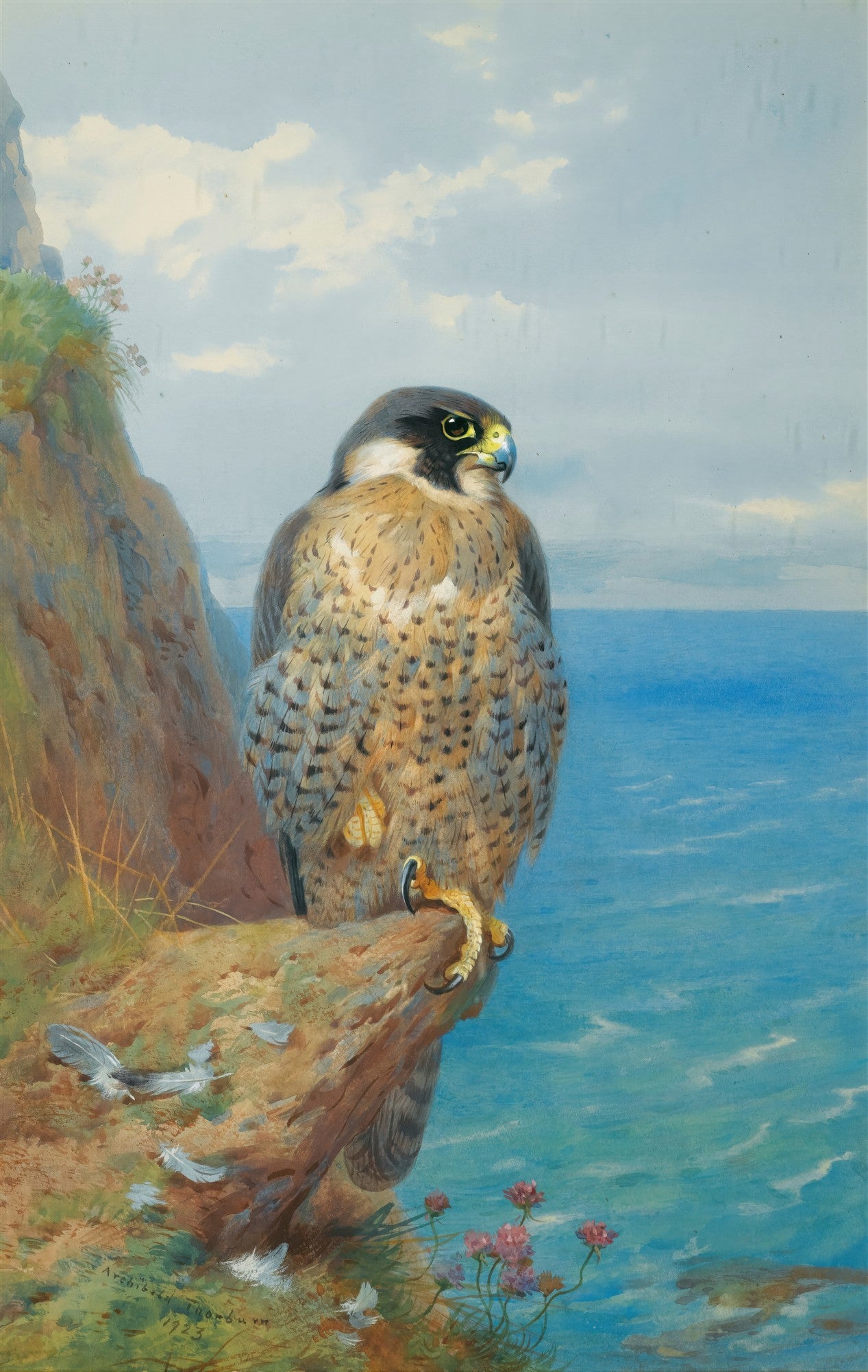 Quadro de Archibald Thorburn com falcão-peregrino em um penhasco, observando o mar azul sob um céu nublado