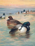 Quadro decorativo mostrando patos nadando em um lago ao pôr do sol, com montanhas distantes, obra de Archibald Thorburn.