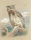 Quadro decorativo com ilustração de coruja-orelhuda de Archibald Thorburn, em tons de marrom e bege, sobre um galho, com um céu claro ao fundo e uma ave menor voando. A coruja tem olhos amarelos e expressivos.