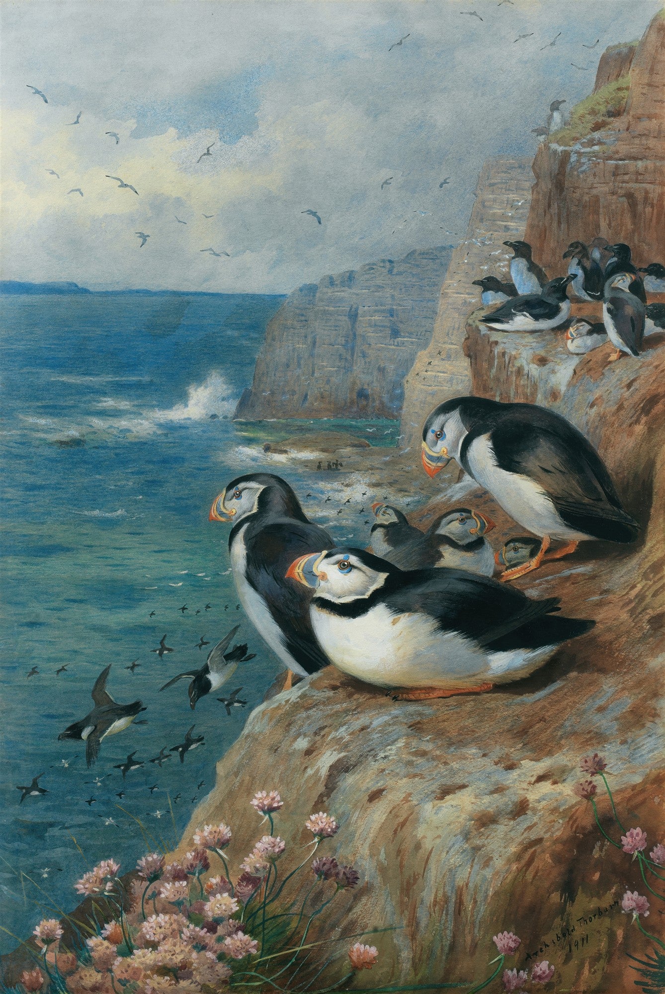 Quadro decorativo mostrando papagaios-do-mar e outras aves marinhas em uma falésia rochosa com o oceano ao fundo, obra de Archibald Thorburn de 1911.