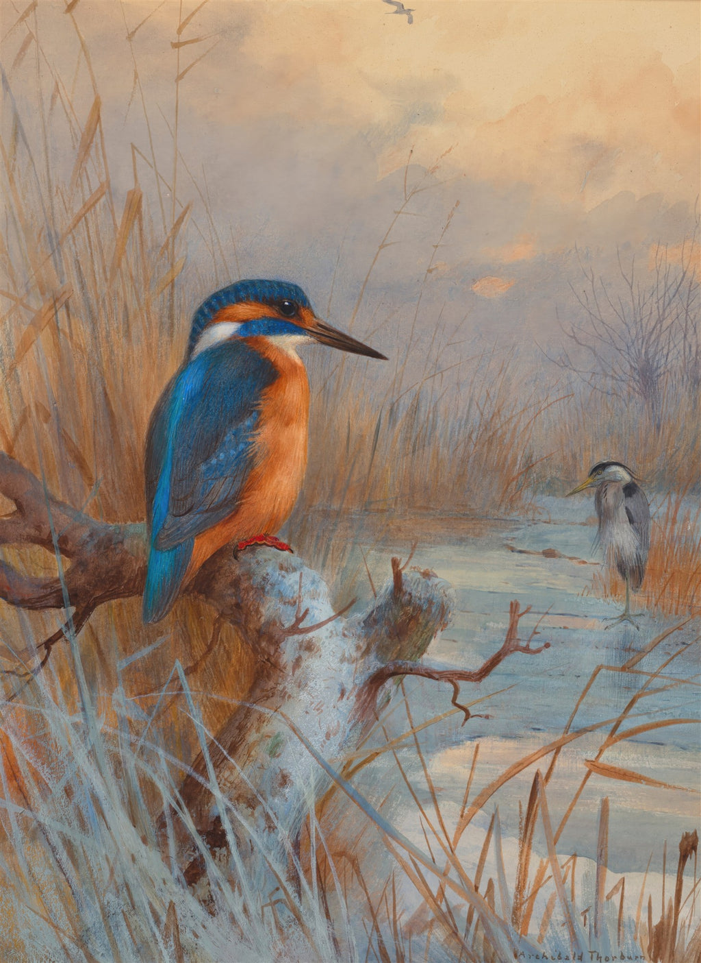 Quadro decorativo com pintura de um martim-pescador azul e laranja em um galho, com um garça-real no fundo, em um pântano com juncos e água.