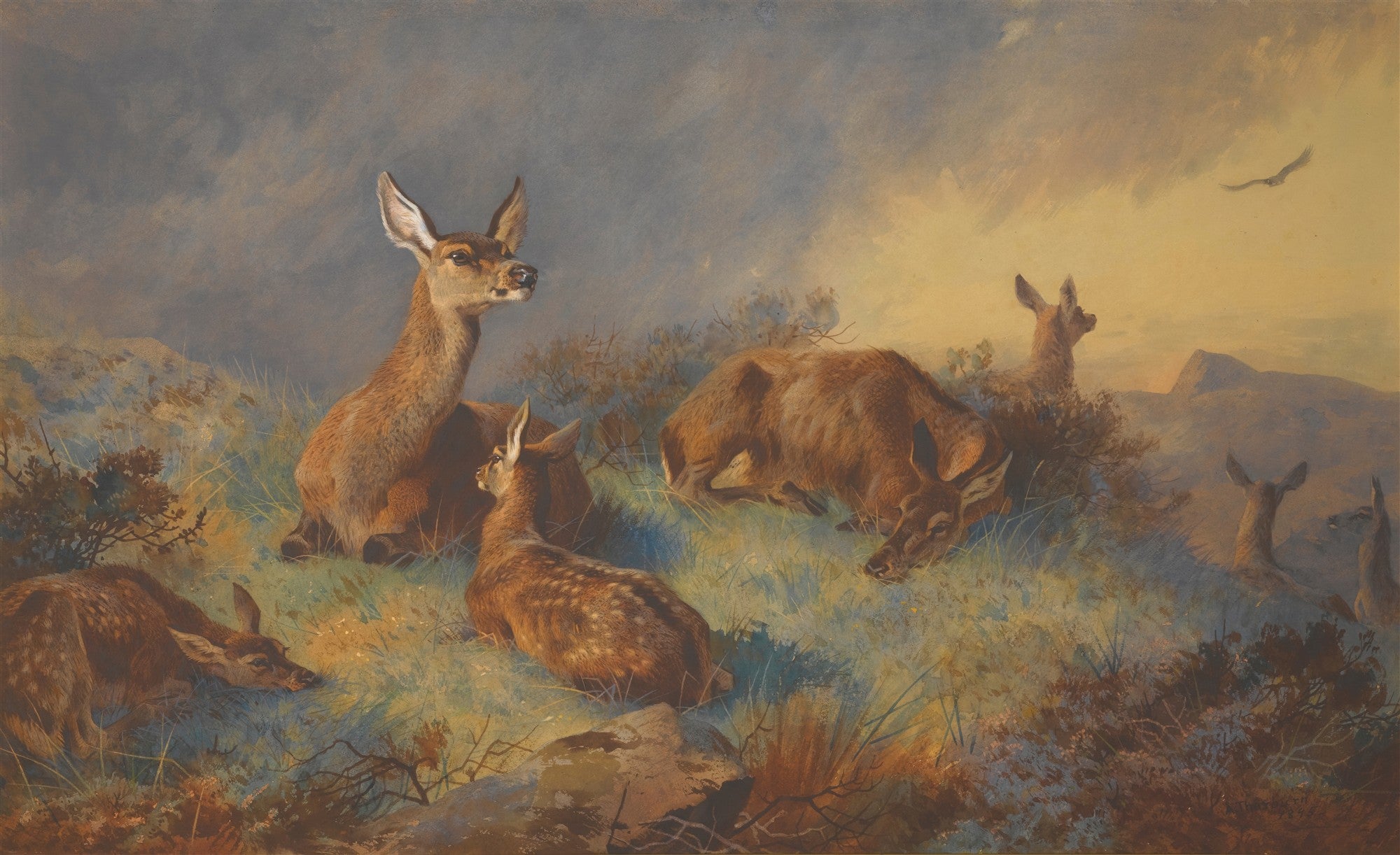 Quadro decorativo de Archibald Thorburn, representando um grupo de veados em um pântano ao entardecer ou amanhecer, com um céu dramático e um pássaro voando ao fundo.