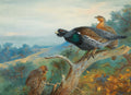 Quadro decorativo com três aves em galhos de árvore, em uma paisagem florestal, obra de Archibald Thorburn.