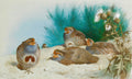 Quadro decorativo com ilustração de aves do campo de Archibald Thorburn. Cinco perdizes com plumagem marrom e cinza, algumas com peito avermelhado, em um solo arenoso. Ao fundo, vegetação verde e alguns cardos com flores brancas.