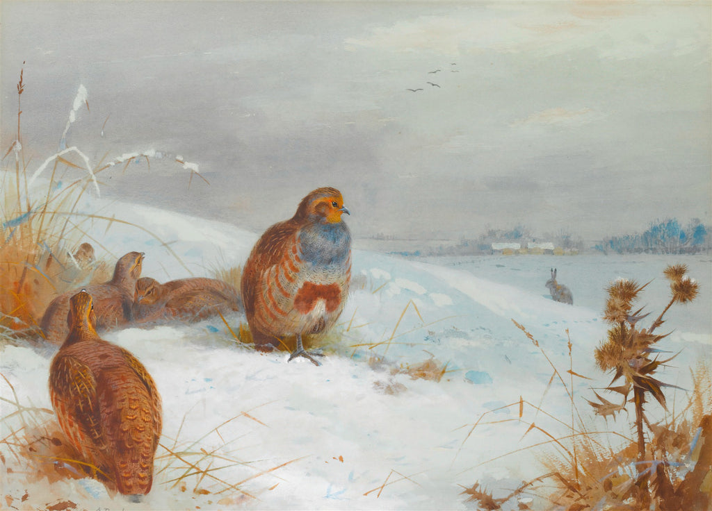 Quadro decorativo com perdizes em paisagem nevada, coelho ao fundo e arbustos. Obra de Archibald Thorburn.
