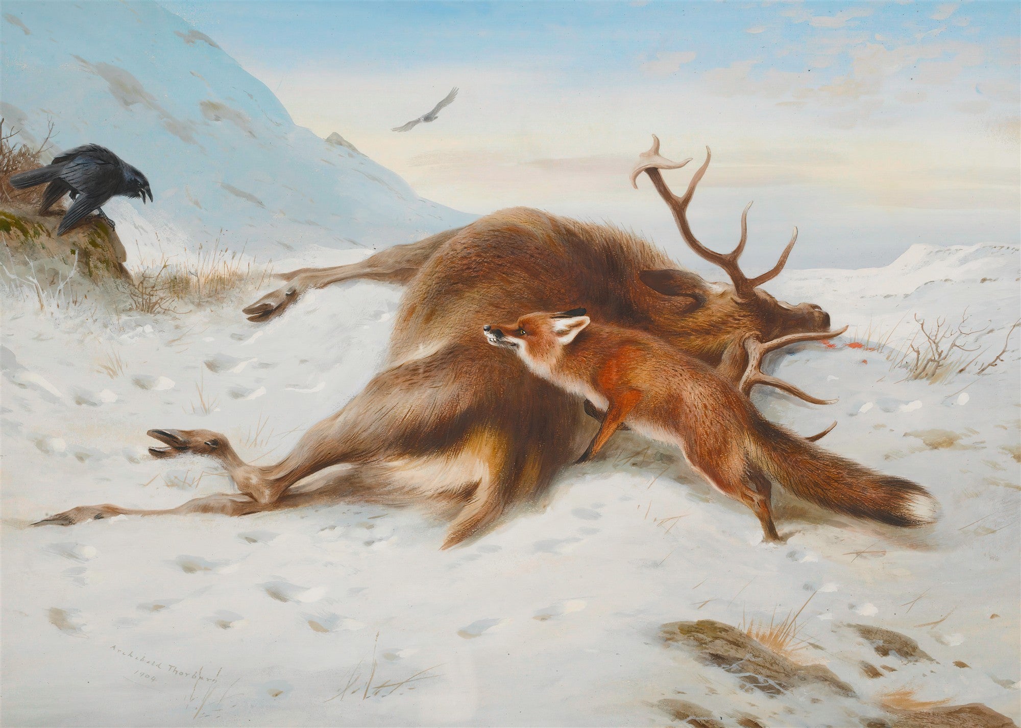 Quadro decorativo com cena invernal onde uma raposa se aproxima de dois cervos mortos na neve, com um corvo e uma águia no céu. Obra de Archibald Thorburn.