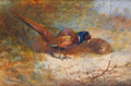 Pintura em aquarela de Archibald Thorburn de dois faisões em um ambiente natural, com um faisão macho de plumagem colorida e vibrante em primeiro plano e uma fêmea mais discreta ao fundo. A cena é rica em tons terrosos e detalhes da folhagem.