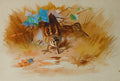 Quadro decorativo mostrando duas aves do pântano em aquarela, com folhagens e tons terrosos, assinado por A. Thorburn.