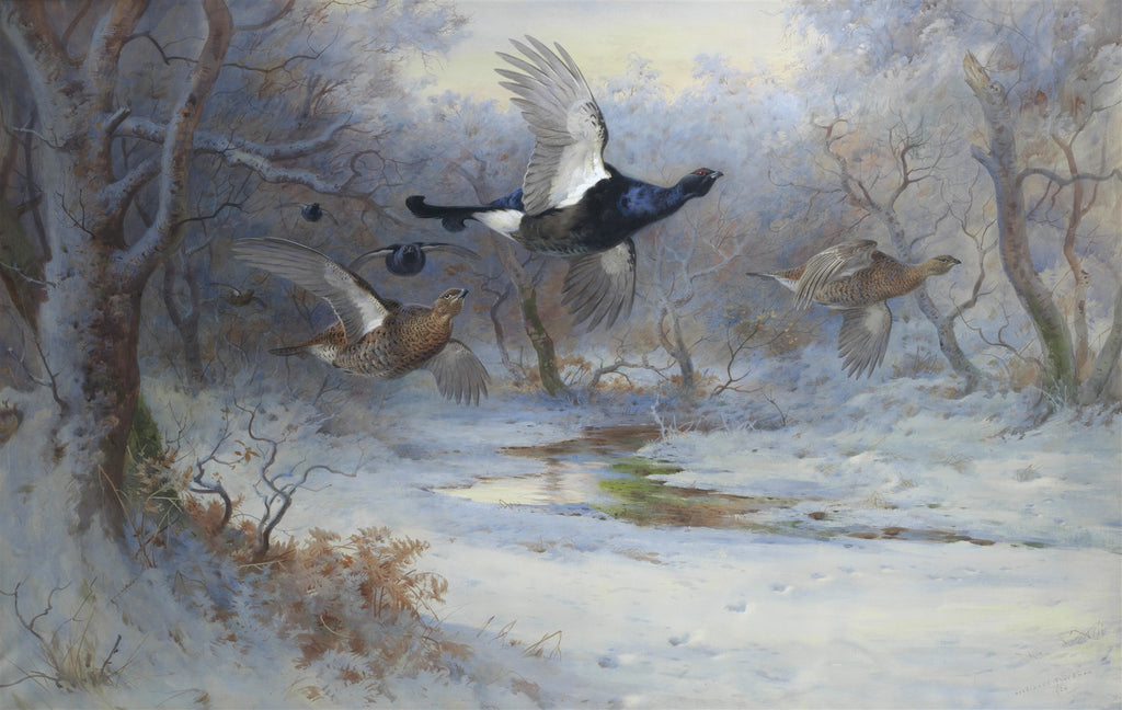 Quadro decorativo com pintura de Archibald Thorburn, representando três aves de caça, possivelmente tetrazes, voando sobre uma paisagem de inverno coberta de neve e árvores desfolhadas. Um riacho corre pelo centro, e o céu é claro e frio.