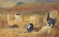 Aquarela de Archibald Thorburn mostrando aves de campo, incluindo galos-lira, entre fardos de palha em um cenário de colheita com colinas ao fundo.