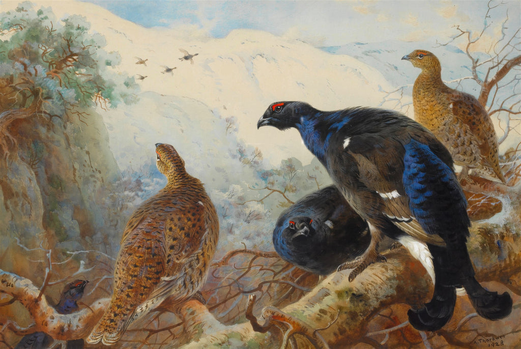 Quadro decorativo mostrando aves de montanha, possivelmente galos-lira, em uma paisagem nevada e arborizada, com outras aves voando ao fundo. A obra é de Archibald Thorburn, com tons de marrom, azul escuro e branco.