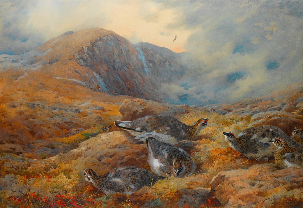 Pintura de Archibald Thorburn mostrando aves, possivelmente perdizes, em uma paisagem montanhosa rochosa com vegetação rasteira em tons de ocre e marrom, sob um céu nublado com tons de azul e dourado.