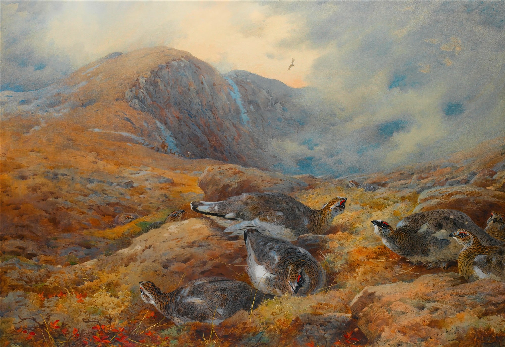 Pintura de Archibald Thorburn mostrando aves, possivelmente perdizes, em uma paisagem montanhosa rochosa com vegetação rasteira em tons de ocre e marrom, sob um céu nublado com tons de azul e dourado.