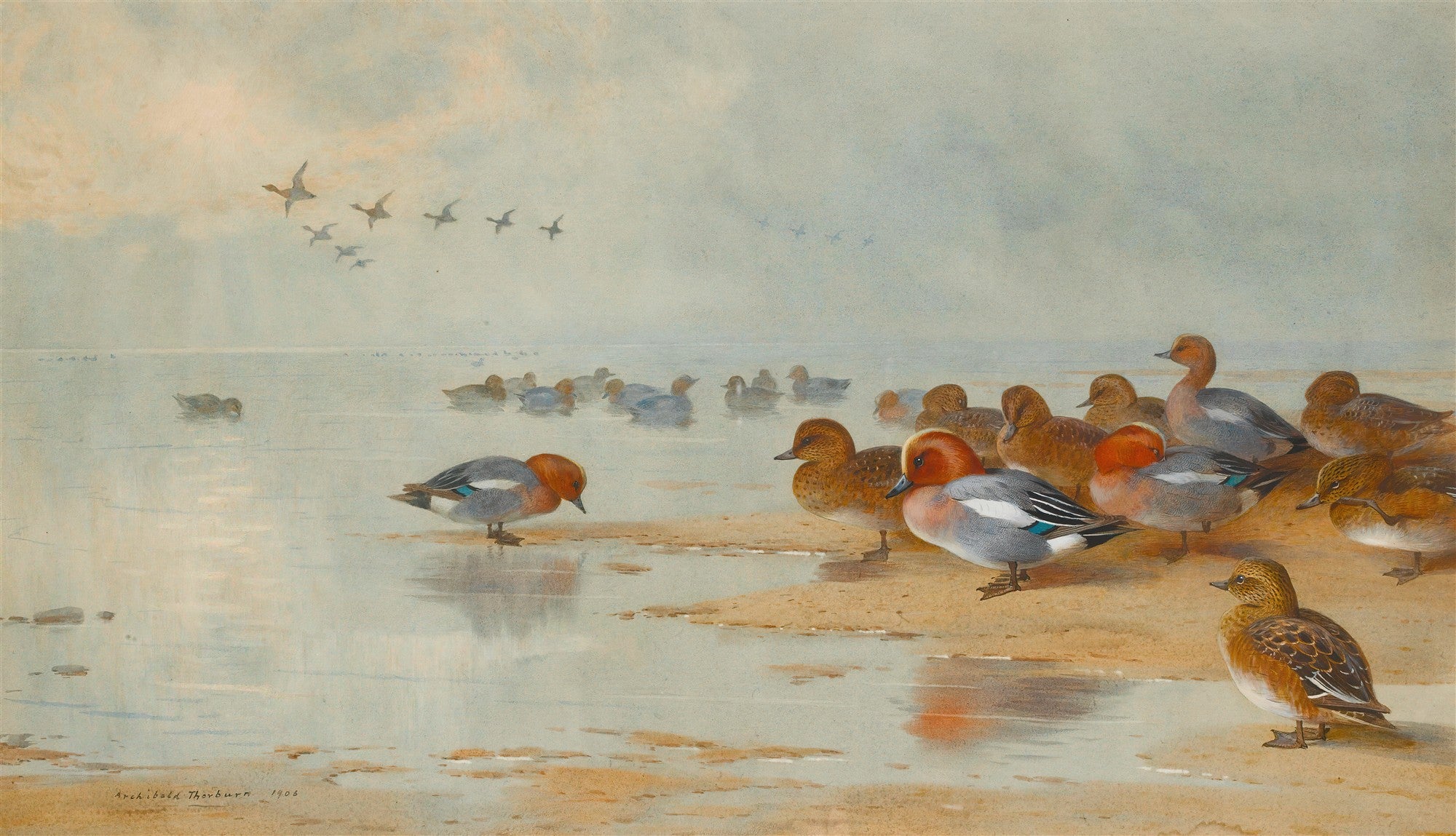 Quadro decorativo 'Patos no Lago Congelado' de Archibald Thorburn, representando patos selvagens em um lago semi-congelado sob um céu nublado, com alguns voando ao fundo. Assinatura do artista visível.