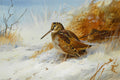 Aquarela de Archibald Thorburn, Woodcock in a Winter Landscape, mostrando duas aves marrons e douradas, possivelmente galinholas, em um campo nevado com grama seca e arbustos. O céu é azul claro e o fundo é uma mistura de tons terrosos e brancos, com a assinatura do artista e a data 1916 no canto inferior direito.