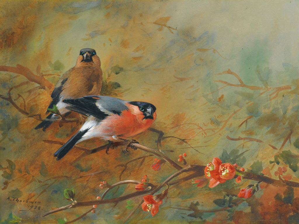 Quadro decorativo com dois pintassilgos em um galho florido, com fundo em tons de verde e marrom. A obra é de Archibald Thorburn, datada de 1928.