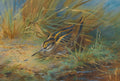 Pintura em aquarela de um maçarico-galego camuflado entre juncos e gramíneas em um pântano, com água refletindo o céu ao fundo. Assinatura 'A. Thorburn 1933'.
