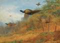 Quadro decorativo Faisões em Voo de Archibald Thorburn, representando cinco faisões em pleno voo sobre uma paisagem outonal com árvores e folhagem em tons de laranja e verde, sob um céu azul claro.
