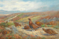 Quadro decorativo mostrando aves marrons, possivelmente tetrazes, em uma paisagem de charneca escocesa com tons terrosos e céu azul claro. Aves em primeiro plano e outras voando ao fundo.