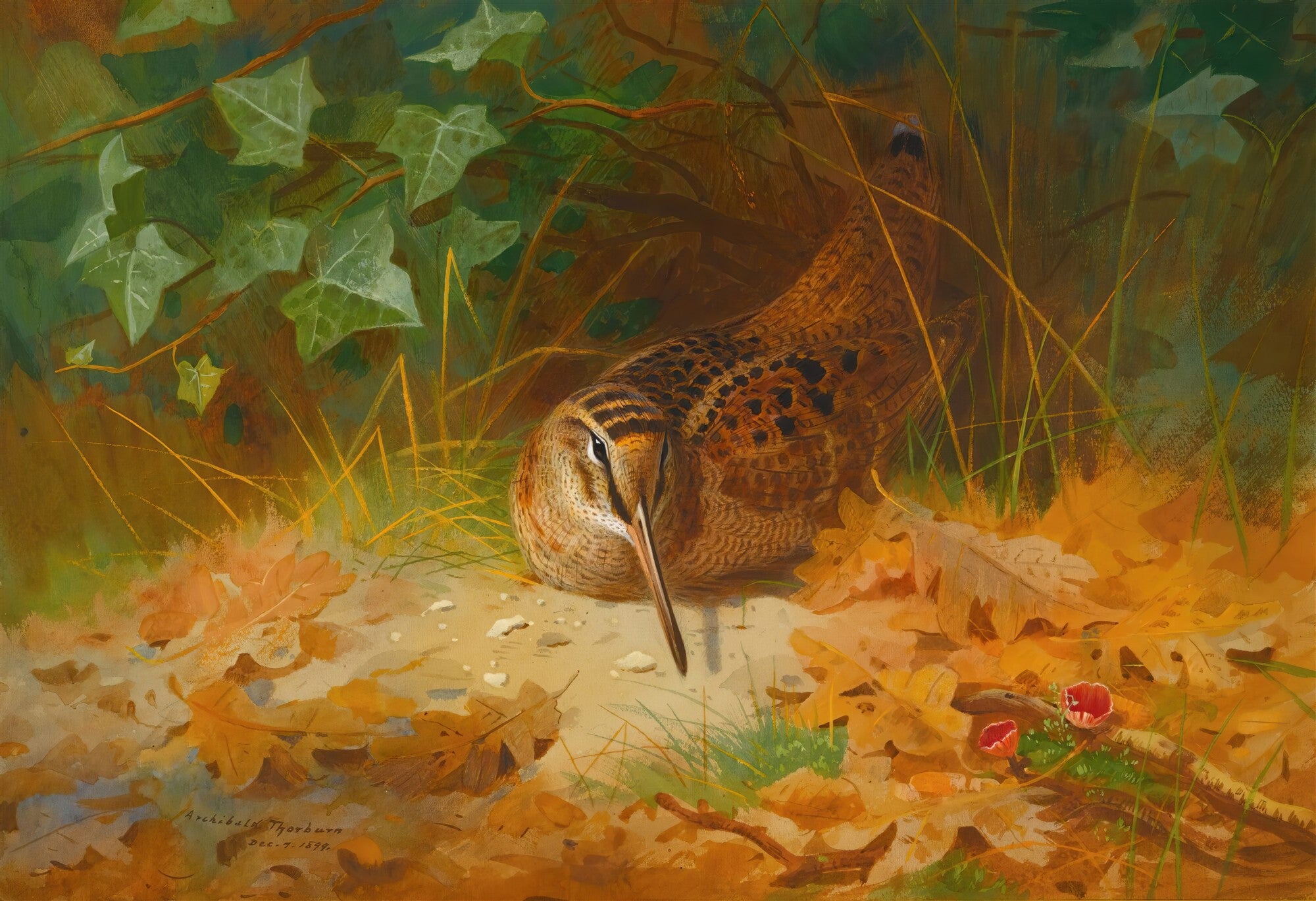 Quadro decorativo com pintura de um pássaro agachado entre folhagens de outono, camuflado na vegetação, em tons de verde, marrom e laranja. Assinatura do artista Archibald Thorburn e data 1898.