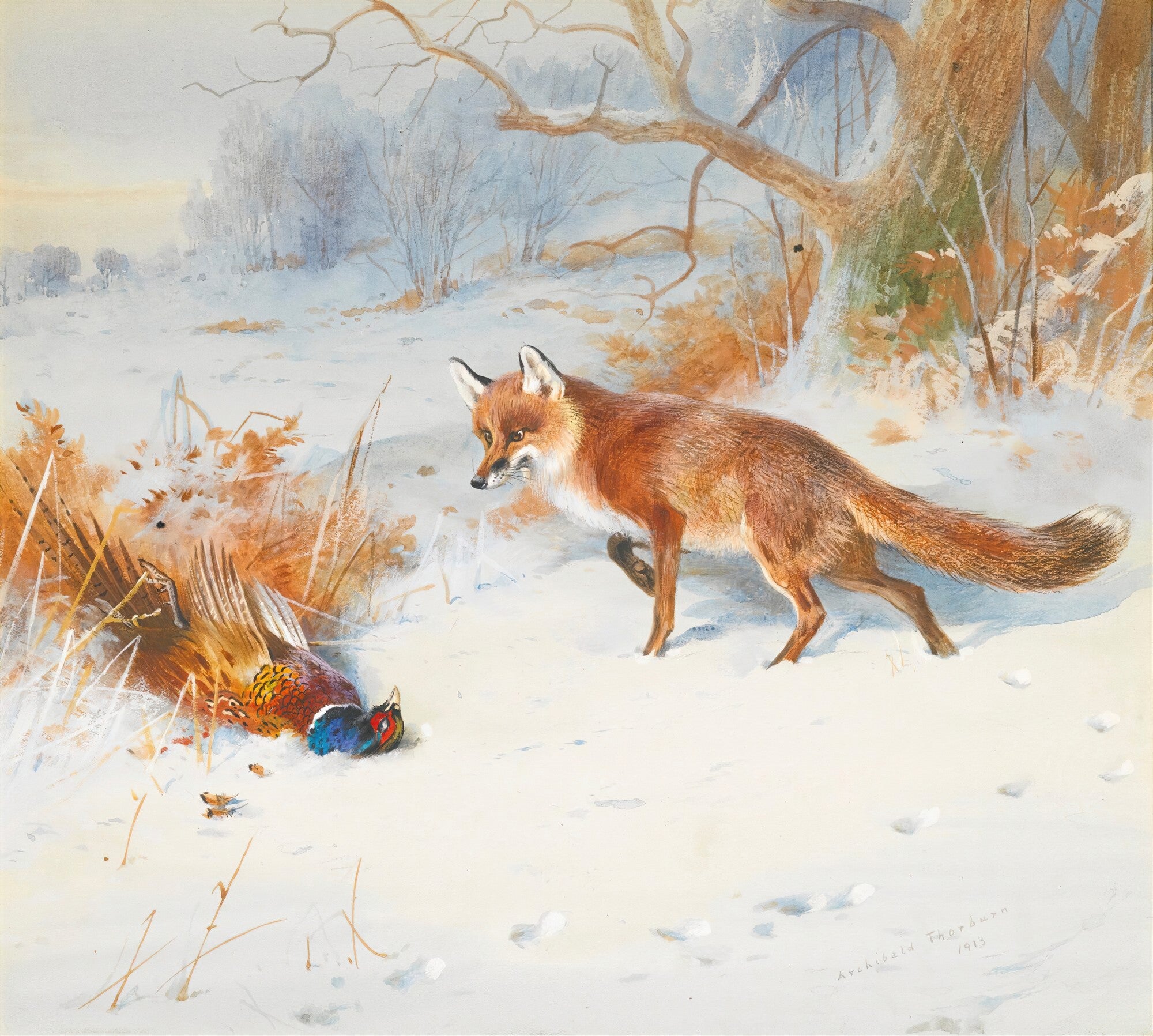 Quadro decorativo de uma raposa ruiva olhando para um faisão morto na neve, com árvores e arbustos ao fundo em um dia de inverno. Assinado 'Archibald Thorburn 1913'.