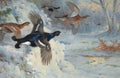 Quadro decorativo com aves em voo sobre paisagem nevada, atribuído a Archibald Thorburn. Pássaros pretos e marrons com neve e árvores ao fundo.