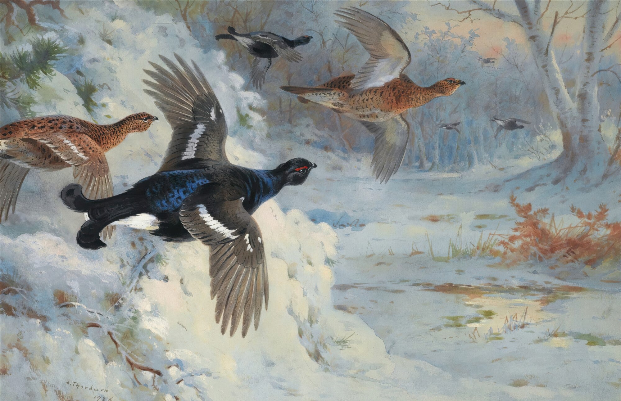 Quadro decorativo com aves em voo sobre paisagem nevada, atribuído a Archibald Thorburn. Pássaros pretos e marrons com neve e árvores ao fundo.