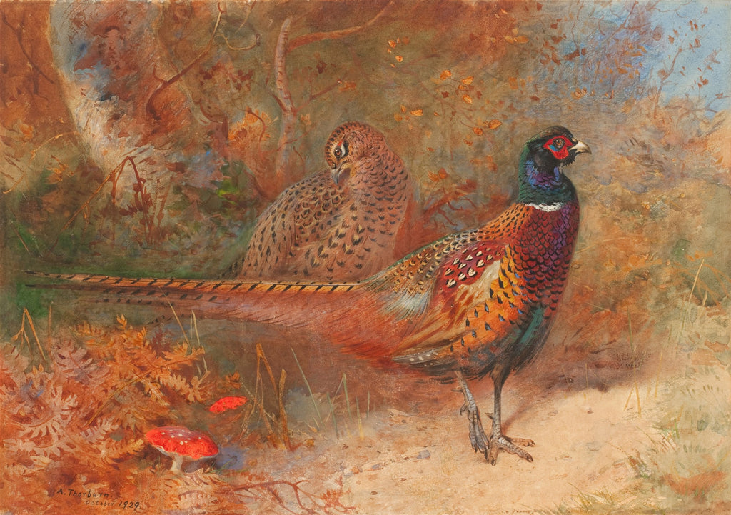 Quadro decorativo mostrando dois faisões em uma paisagem de outono com folhagem avermelhada e cogumelos vermelhos. O faisão macho é colorido, o faisão fêmea é marrom.