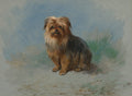 Pintura de um cão terrier de pelo longo e marrom, sentado de frente, com fundo azul e toques verdes. Obra de Archibald Thorburn.